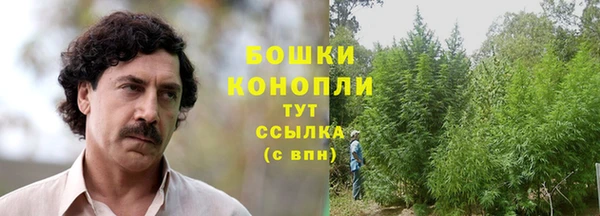 MESCALINE Богородицк